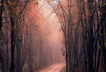 一路同行天涯社区